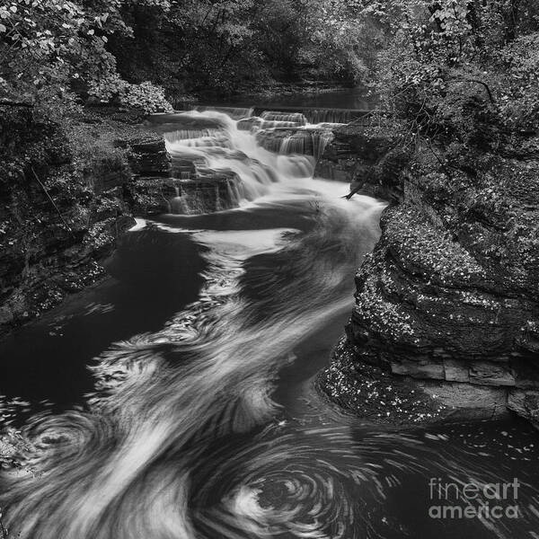 Michele Poster featuring the photograph Fall Creek Flow II by Michele Steffey
