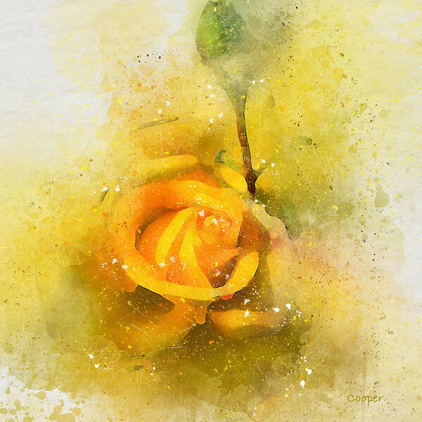 Yellow Rose 2 Peggy Cooper Photography Digital Art Watercolor Effect Photo Illustration Flowers Floral Plants Nature Impressionism Impressionist Prints Canvas Mugs Shower Curtains Tote Clutch Bag Towels Throw Pillows Phone Cases Beach Home Office Goods Decorating Interior Design Galleries Gifts Women Girls Dainty Delicate Designer Greeting Cards Poster featuring the digital art Yellow Rose 2 A by Peggy Cooper-Hendon