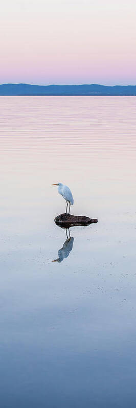 Australia Poster featuring the photograph Peaceful Solitude by Az Jackson