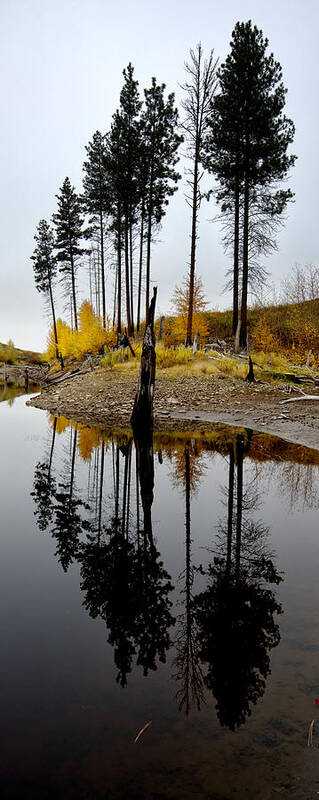 Reflections Poster featuring the photograph Autumn Reflection Vertical by Allan Van Gasbeck