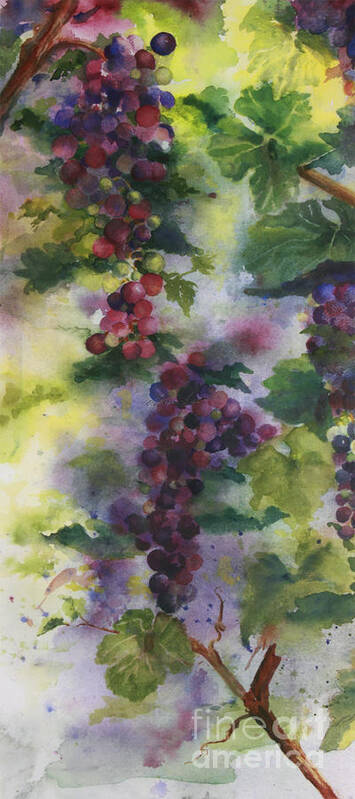 Cabernet Grapes Poster featuring the painting Baby Cabernet I Triptych by Maria Hunt