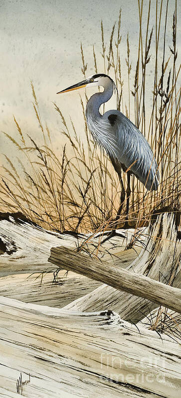 Heron Poster featuring the painting Driftwood Splendor by James Williamson