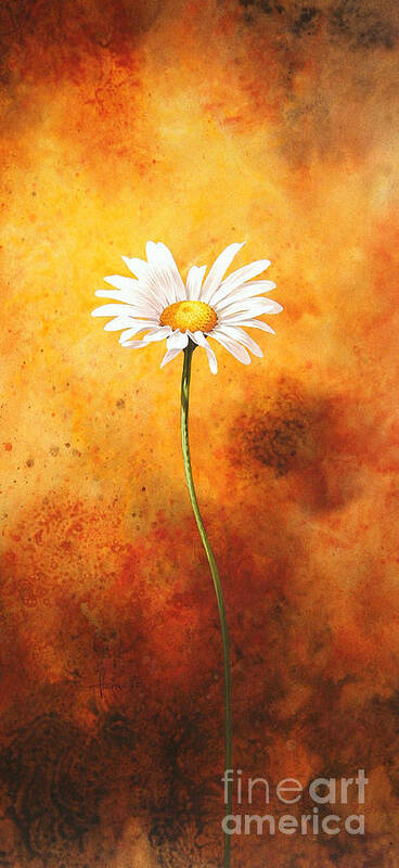 John Francis Poster featuring the painting Oxeye by MGL Meiklejohn Graphics Licensing
