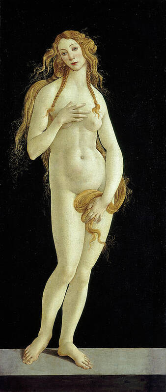 Venus Poster featuring the painting Venus by Sandro Botticelli