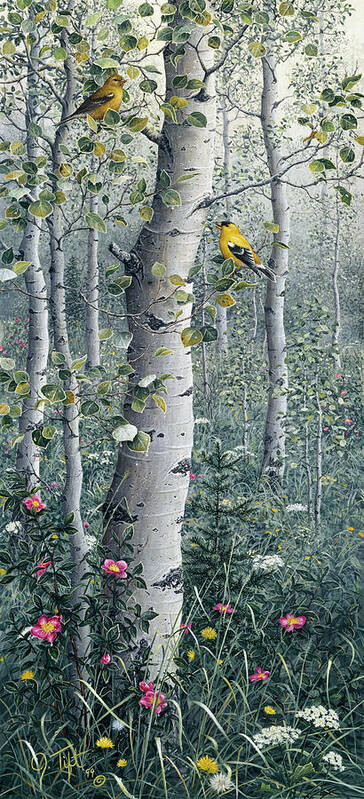 A Male And Female American Goldinch In A Grove Of Quaking Aspen Poster featuring the painting American Goldfinch by Jeff Tift