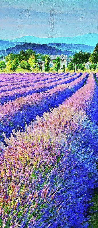 Lavender Poster featuring the painting Lavender fields - 08 by AM FineArtPrints