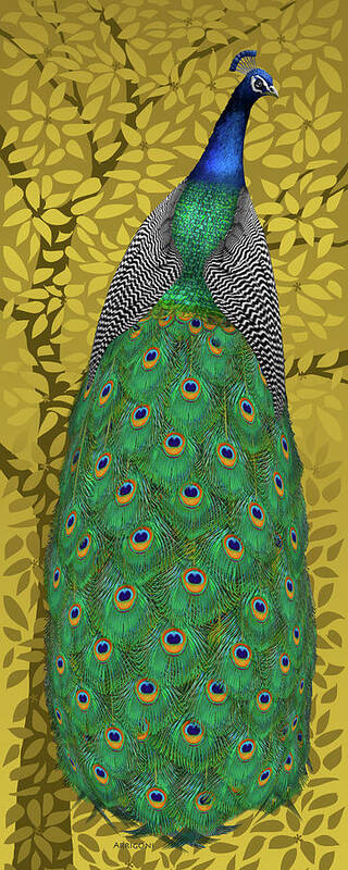 Peacock In Tree Poster featuring the painting Peacock in Tree, Golden Ochre, Tall by David Arrigoni