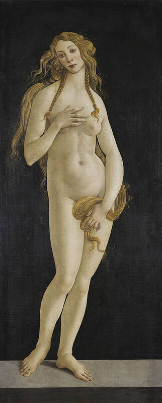 Sandro Botticelli Poster featuring the painting Venus #1 by Sandro Botticelli