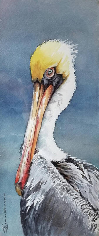 Brown Pelican Poster featuring the painting Brown Pelican by Sue Zimmermann