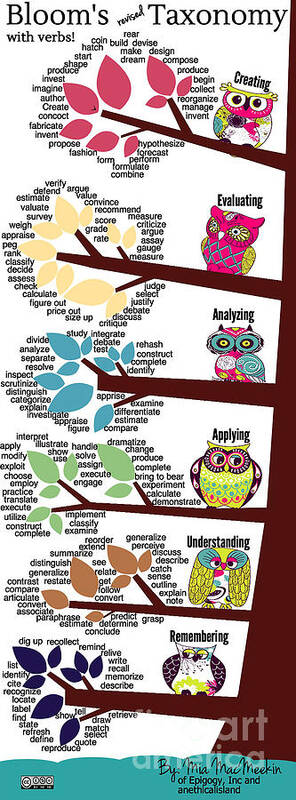 Educational Poster featuring the photograph Bloom's Taxonomy with Verbs by Shawn MacMeekin