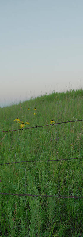 Barbwire Poster featuring the photograph Barb Wire Prairie by Troy Stapek