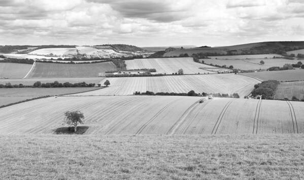 The South Downs Poster featuring the photograph The Meon Valley #2 by Steven Poulton