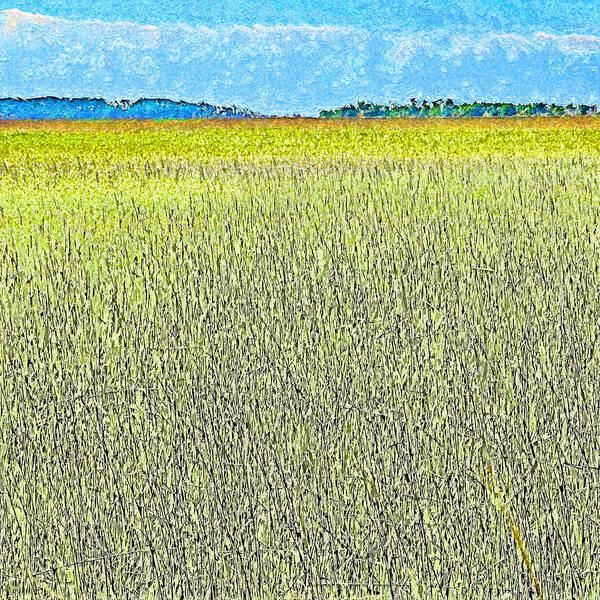 Seagrass Poster featuring the photograph Endless Seagrass of Savannah by Island Hoppers Art