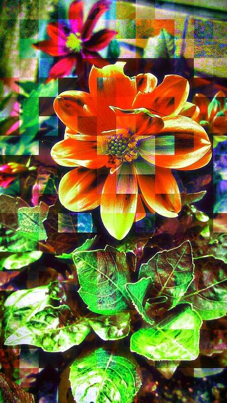 Love Poster featuring the photograph Abstract Flowers #5 by Chris Drake