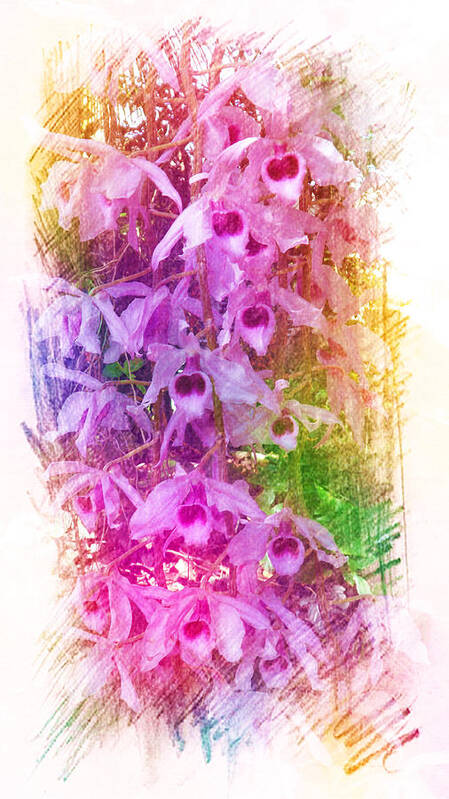 Interior Poster featuring the painting Fantastic Orchids by Xueyin Chen