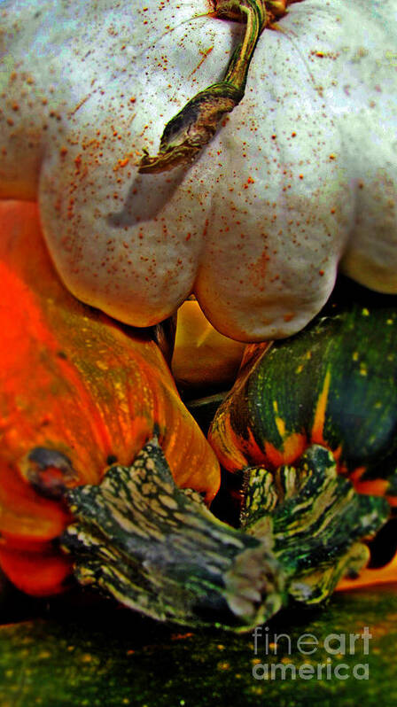 Gourds Poster featuring the photograph Gourds by Alexa Szlavics