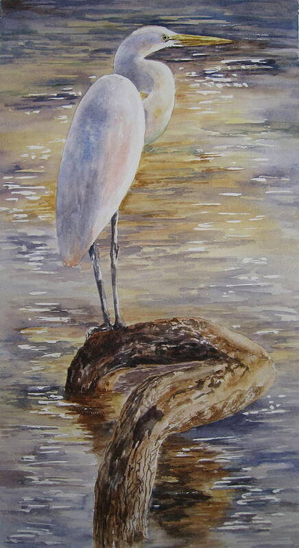 Egret Poster featuring the painting Morning Perch-Egret by Mary McCullah