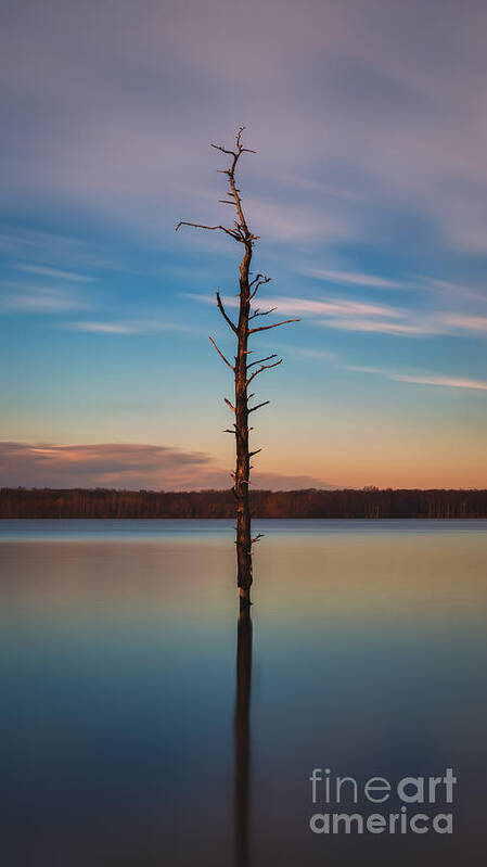 Stand Alone Poster featuring the photograph Stand Alone 16x9 Crop by Michael Ver Sprill