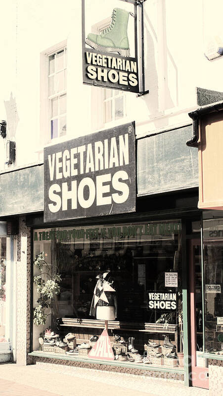 Vegetarian Poster featuring the photograph Vegetarian Shoes by Jasna Buncic