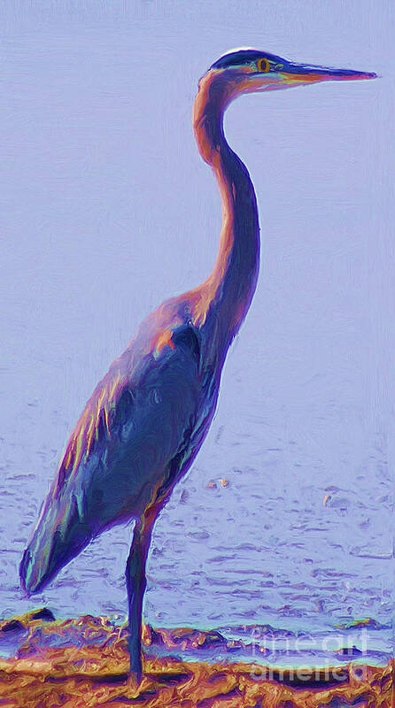 Photograph Poster featuring the digital art Big Blue Heron At Lake Side #1 by John Kolenberg