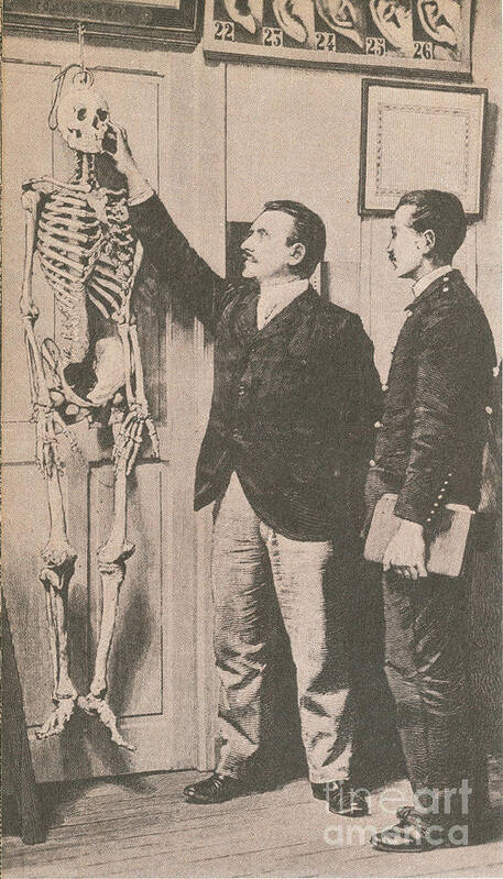Historic Poster featuring the photograph Anthropometry by Photo Researchers