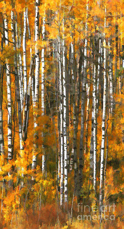 Aspens Poster featuring the photograph Aspens in Color by Clare VanderVeen