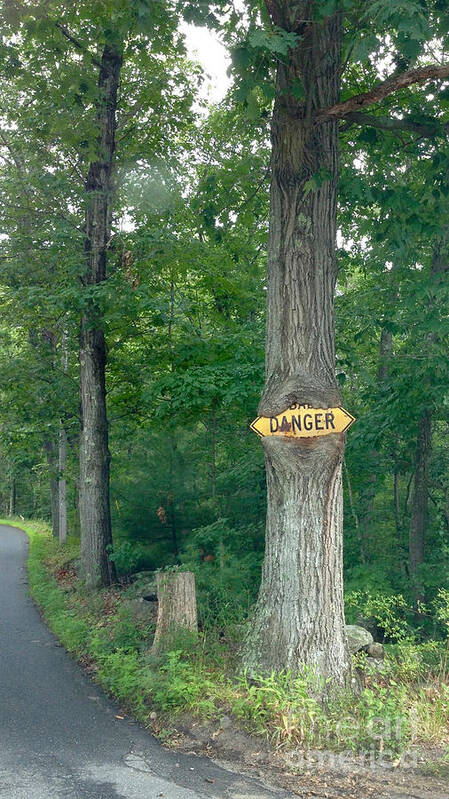 Tree Poster featuring the photograph Danger - Sign-Eating Tree Ahead by Jason Freedman
