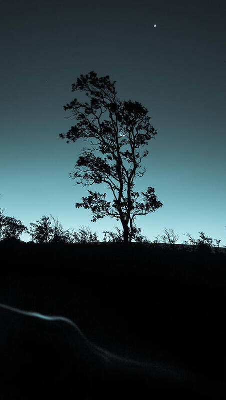 Silhouette Poster featuring the photograph Evening Solitude by Craig Watanabe