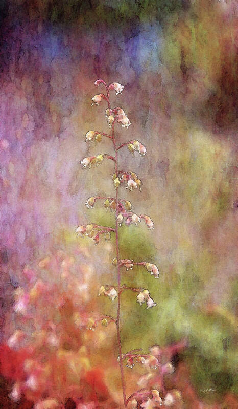 Impression Poster featuring the photograph Fragile 3823 IDP_2 by Steven Ward