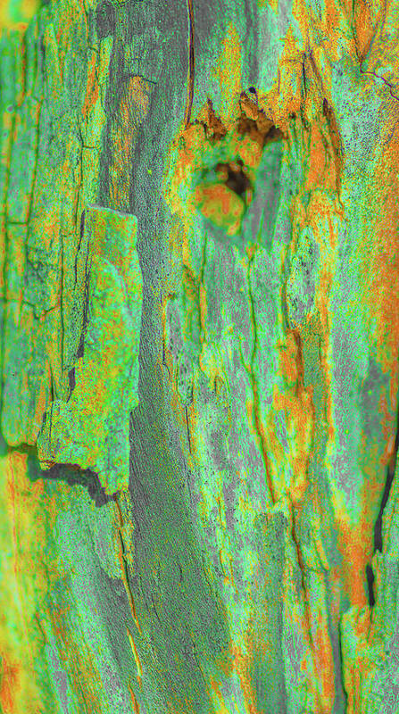 Abstract Poster featuring the photograph Green Wood Bark Abstract by Bruce Pritchett