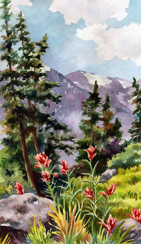 Colorado Art Poster featuring the painting Indian Paintbrush by Anne Gifford