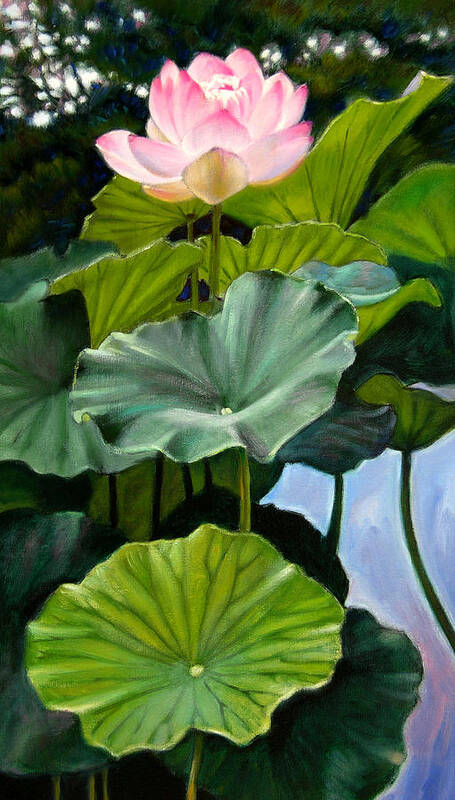 Lotus Flower Poster featuring the painting Lotus Rising by John Lautermilch