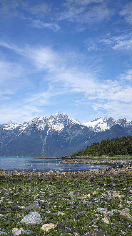 Lynn Canal Poster featuring the photograph Southeast Alaskan Summer by Michele Cornelius