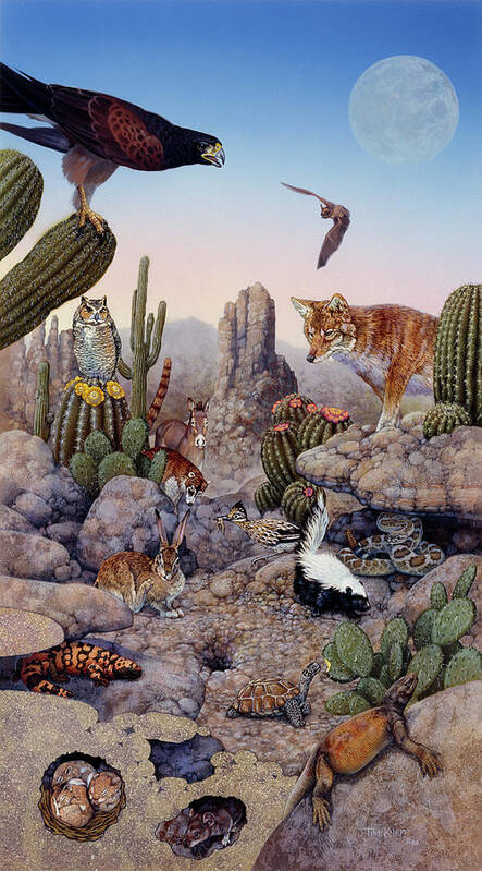 Desert Scene With Falcon And Cactus Poster featuring the painting 407 Desert by Tim Knepp