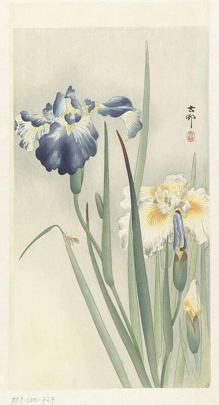 Flower Poster featuring the painting Irissen, Ohara Koson, 1900 - 1936 b by Ohara Koson
