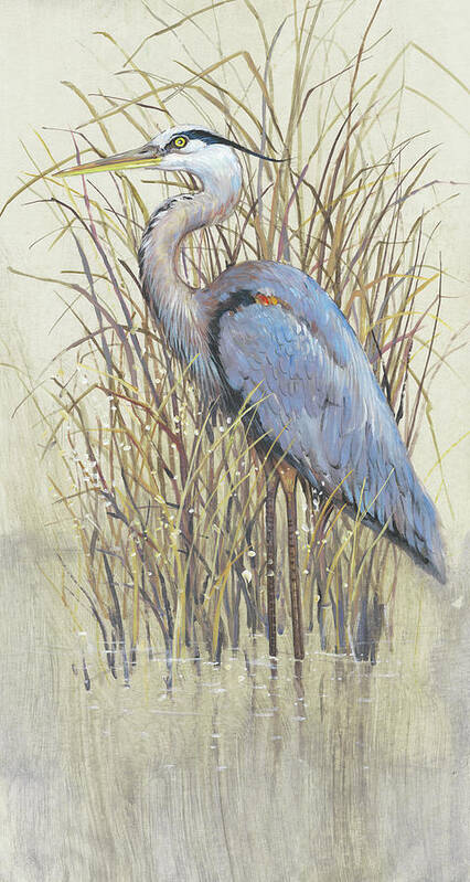 Animals & Nature+birds+water Birds Poster featuring the painting Wading II by Tim Otoole