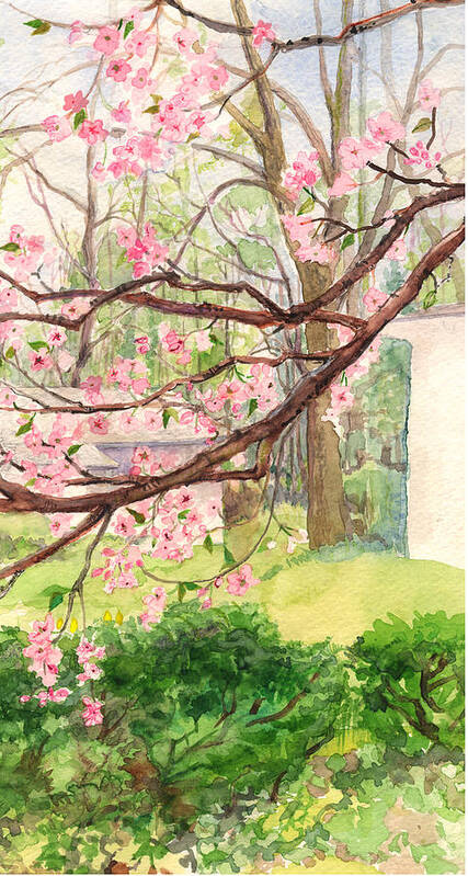 Blooming Cherry Poster featuring the painting Blooming Cherry by Nancy Watson