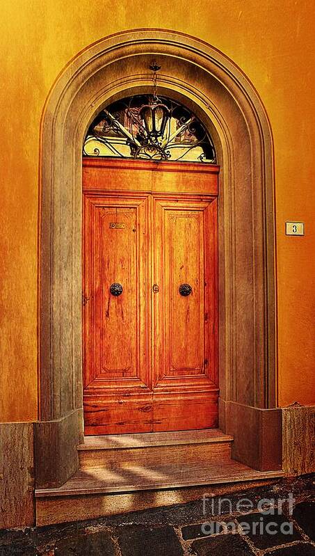 Door Poster featuring the photograph Golden Door 3 - The Magic of Wood by Ramona Matei