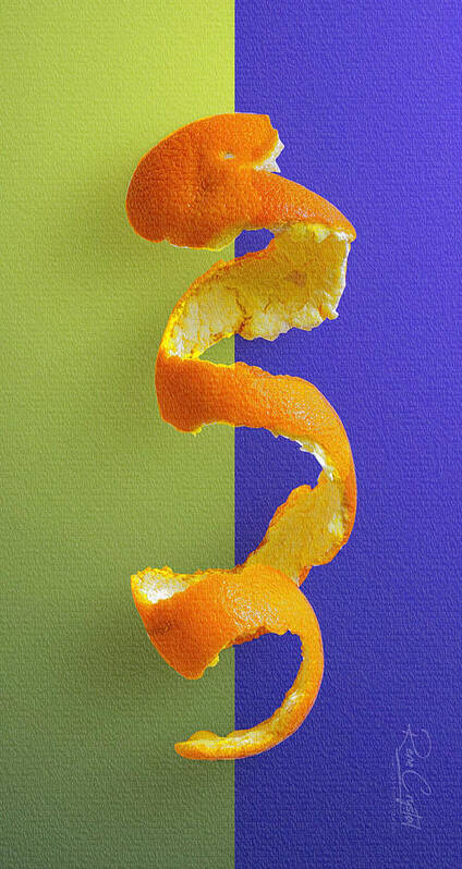 Oranges Poster featuring the photograph I Find You So A Peeling by Rene Crystal