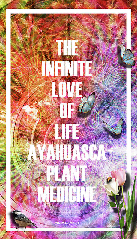 Inspiration Poster featuring the digital art The Infinite Love Of Life by J U A N - O A X A C A