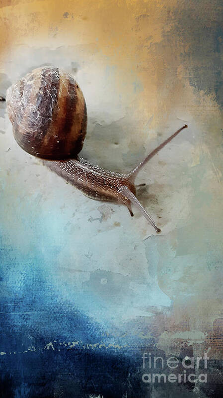Shell Poster featuring the digital art Visitor 2 by Janie Johnson