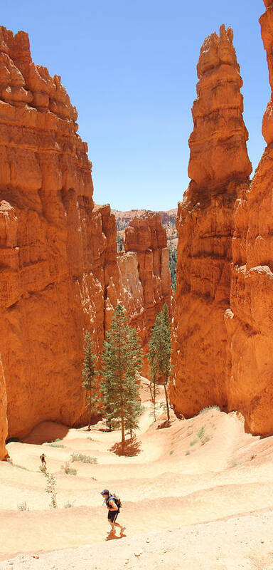 Southwest Poster featuring the photograph A Long Way to the Top by Mike McGlothlen