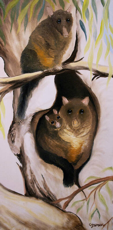 Marsupial Poster featuring the painting Brush Tail Possum by Glen Johnson