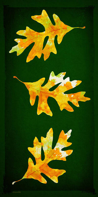 Fall Leaves Poster featuring the mixed media Forest Leaves Painting by Christina Rollo