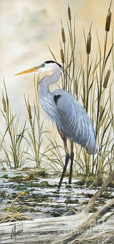 Heron Limited Edition Prints Poster featuring the painting Heron and Cattails by James Williamson