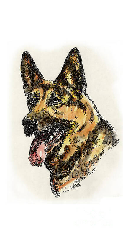 German-shepard Poster featuring the drawing iPhone-Case-Dog-GermanShep. by Gordon Punt