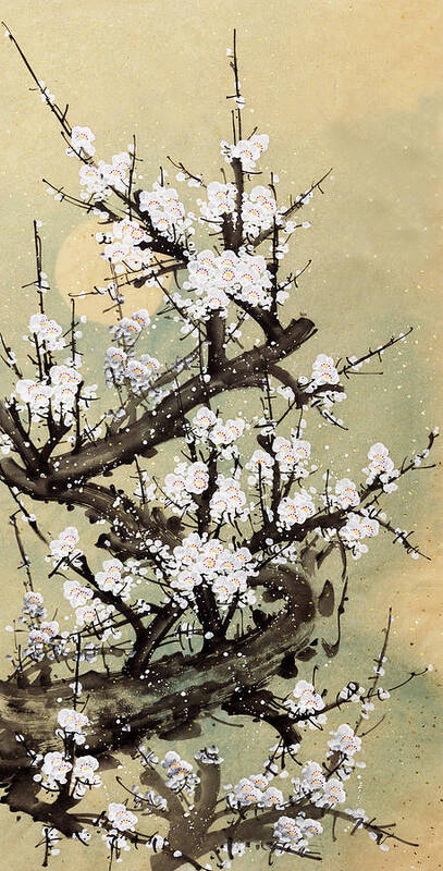 Chinese Culture Poster featuring the digital art Plum Blossom by Vii-photo
