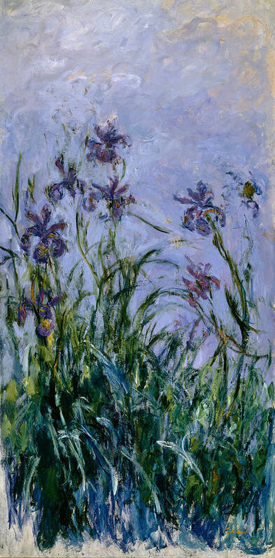 Purple Poster featuring the painting Purple Irises by Claude Monet
