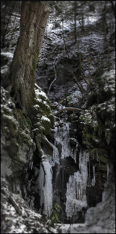 Reelig Poster featuring the photograph Everything stops for winter by Joe Macrae