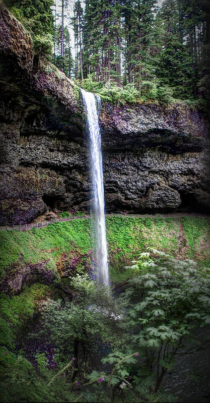 Waterfall Poster featuring the photograph Silver State Waterfall #1 by Ryan Smith